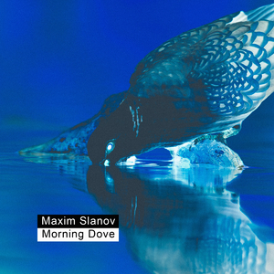 扒男人❌狂揉❌难受亲嘴视频
